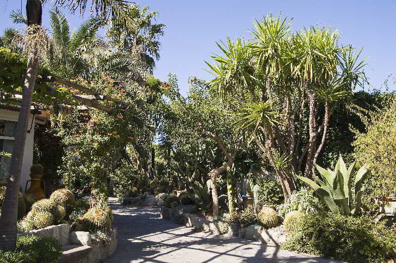 Park Hotel Terme Mediterraneo Forio (Isola d'Ischia) Exterior foto